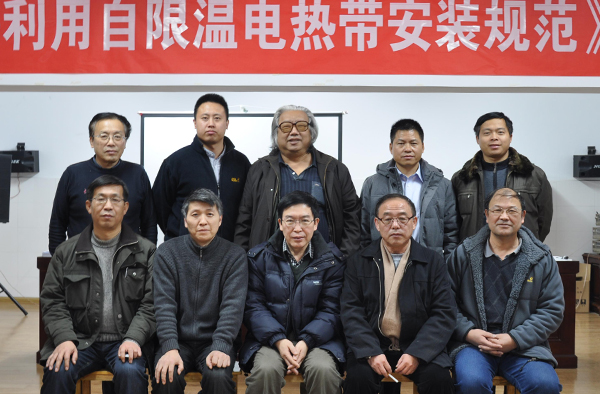 久爱成欢视频在线观看 安邦集团主编太阳能电热带行业标准通过专家审定(图1)