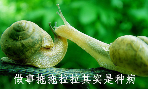 久久91亚洲成人电影 拒绝拖延从今天开始，明天会更好(图4)