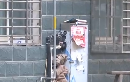 久久91亚洲成人电影 自来水管道保温电伴热带，冬季管道防冻新宠(图2)